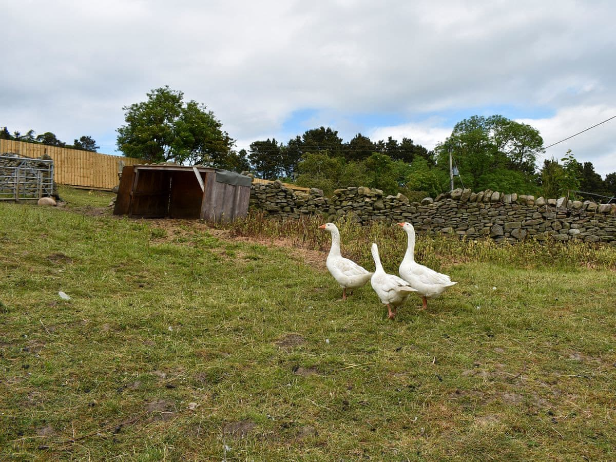Garden and grounds | The Haybarn, East Hedleyhope, Near Durham
